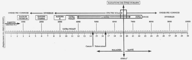 Le biomètre de BOVIS