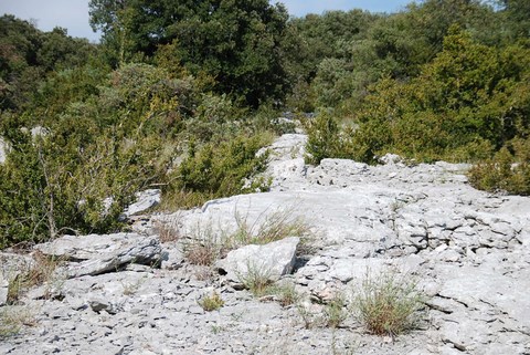 Dalle de pièrre Bidon