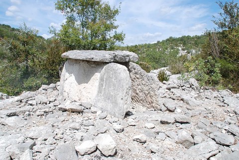 Dolmen entre St Alban d'Auriolles et Lablachère